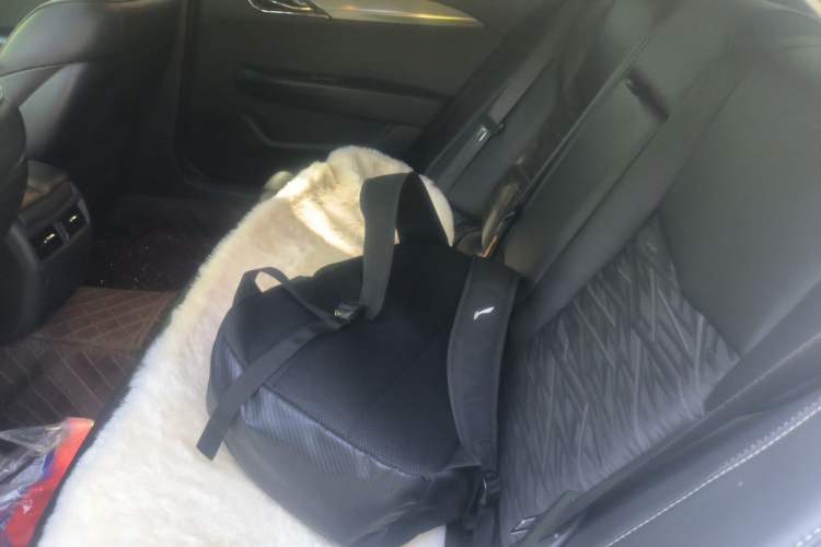 Used Cadillac ATS-L 2017 28T Tech Edition Left Rear Seat