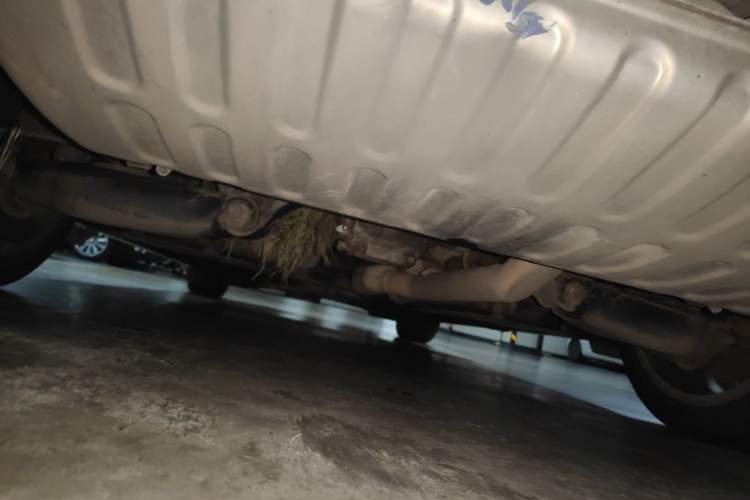 Used Cadillac ATS-L 2017 28T Fashion Edition Chassis Rear