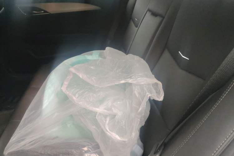 Used Cadillac ATS-L 2017 28T Fashion Edition Left Rear Seat