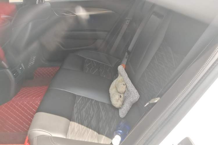 Used Cadillac ATS-L 2017 28T Tech Edition Left Rear Seat