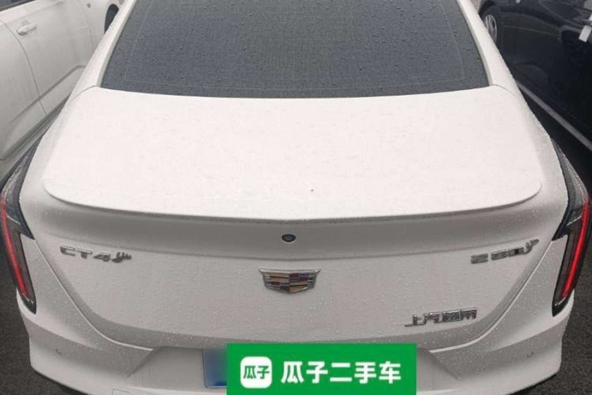 Used Cadillac CT4 2020 28T Elite Edition Rear