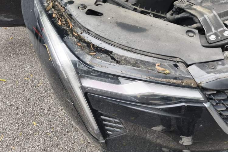 Used Cadillac CT4 2021 28T Luxury Model Right Front Headlight