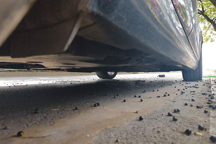 Used Cadillac CT4 2021 28T Luxury Model Chassis Rear Right