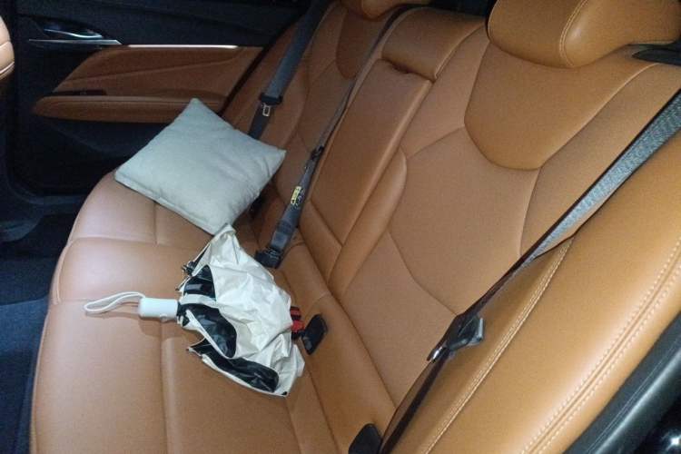 Used Cadillac CT4 2022 28T Luxury Edition Left Rear Seat
