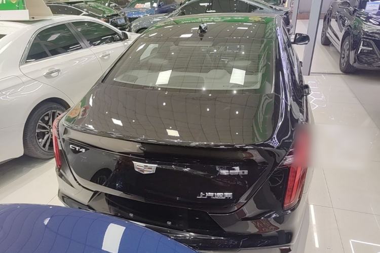 Used Cadillac CT4 2022 28T Luxury Edition Rear