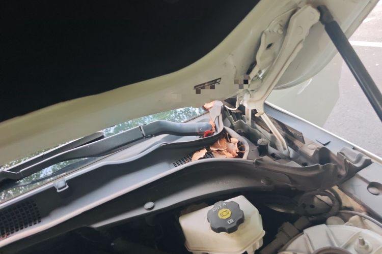 Used Cadillac CT4 2022 28T Luxury Edition Engine Bay Left