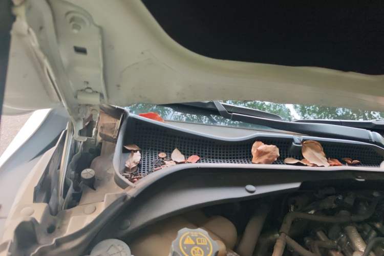 Used Cadillac CT4 2022 28T Luxury Edition Engine Bay Right