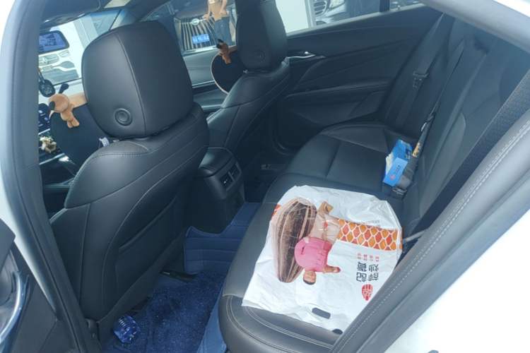 Used Cadillac CT4 2022 28T Luxury Edition Left Rear Seat