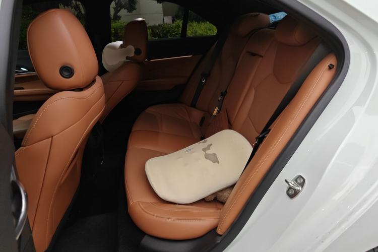 Used Cadillac CT4 2022 28T Luxury Edition Left Rear Seat