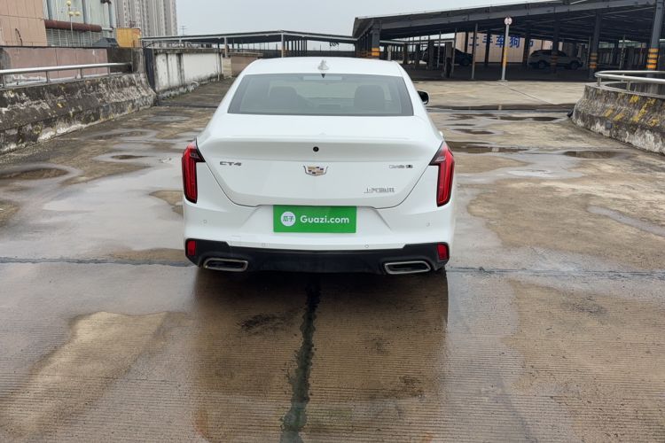 Used Cadillac CT4 2022 28T Luxury Edition Rear