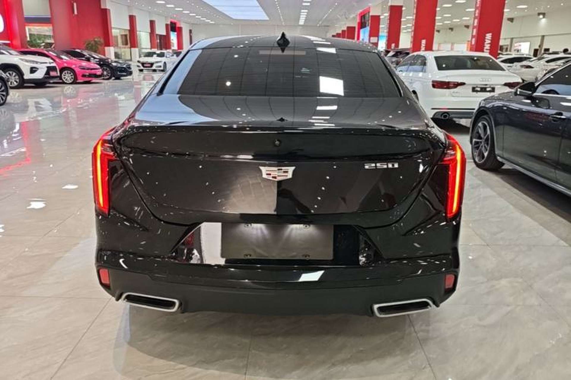 Used Cadillac CT4 2023 25T Luxury Model Rear