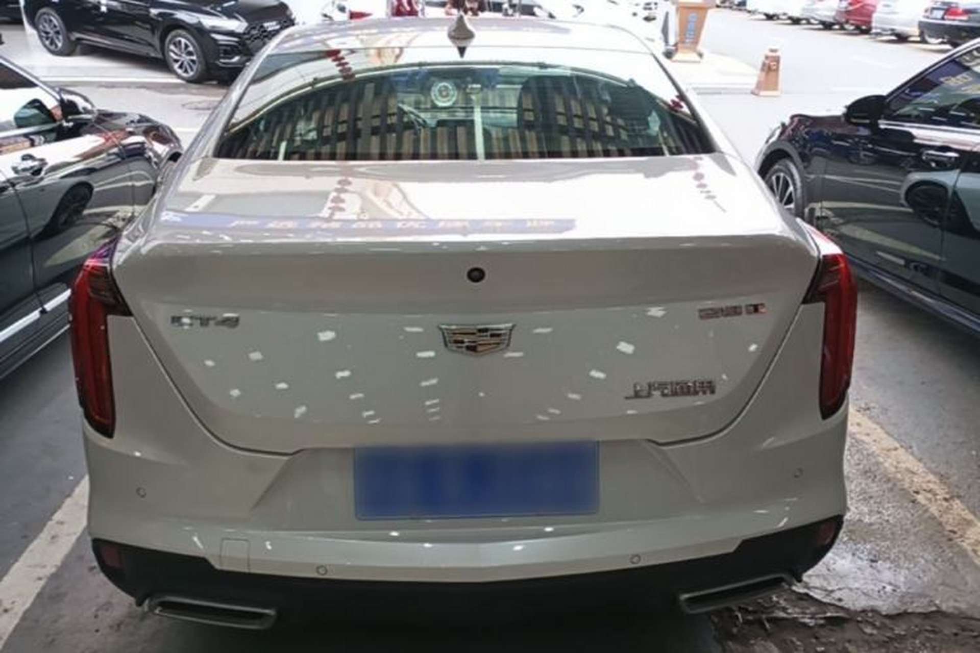 Used Cadillac CT4 2023 28T Luxury Version Rear