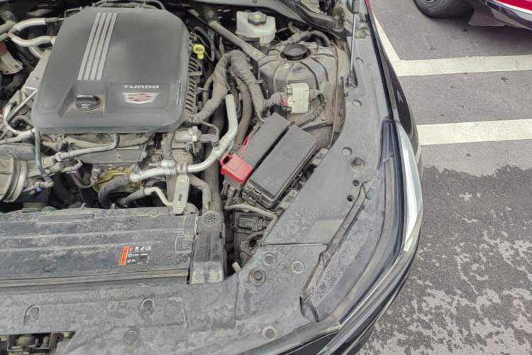 Used Cadillac CT5 2020 Revised Version 28T Luxury Edition Engine Bay Left