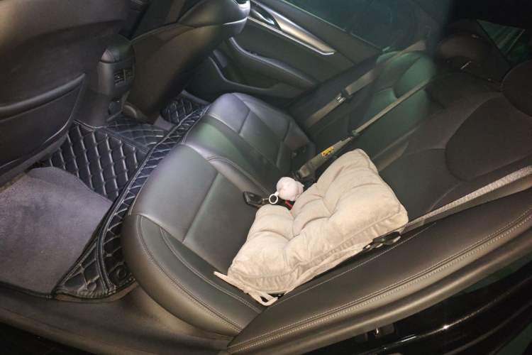Used Cadillac CT5 2020 28T Luxury Version Left Rear Seat