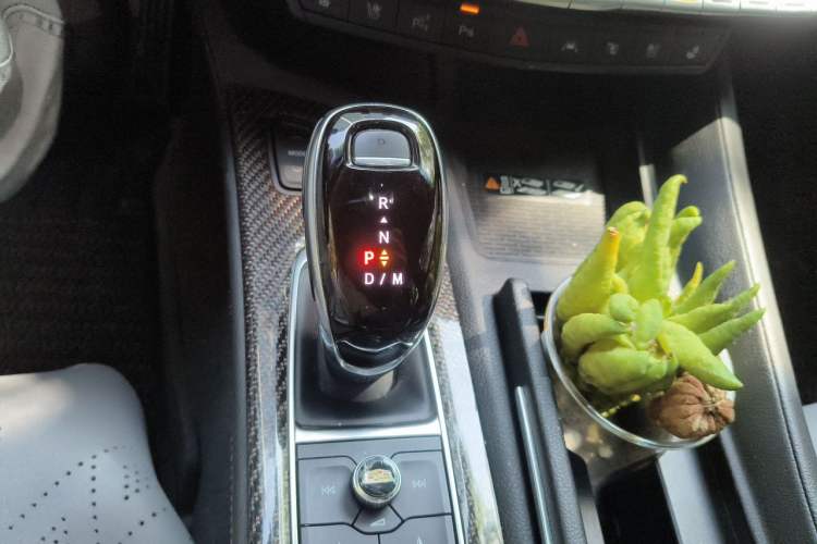 Used Cadillac CT5 2020 28T Platinum Sport Edition Gear Lever