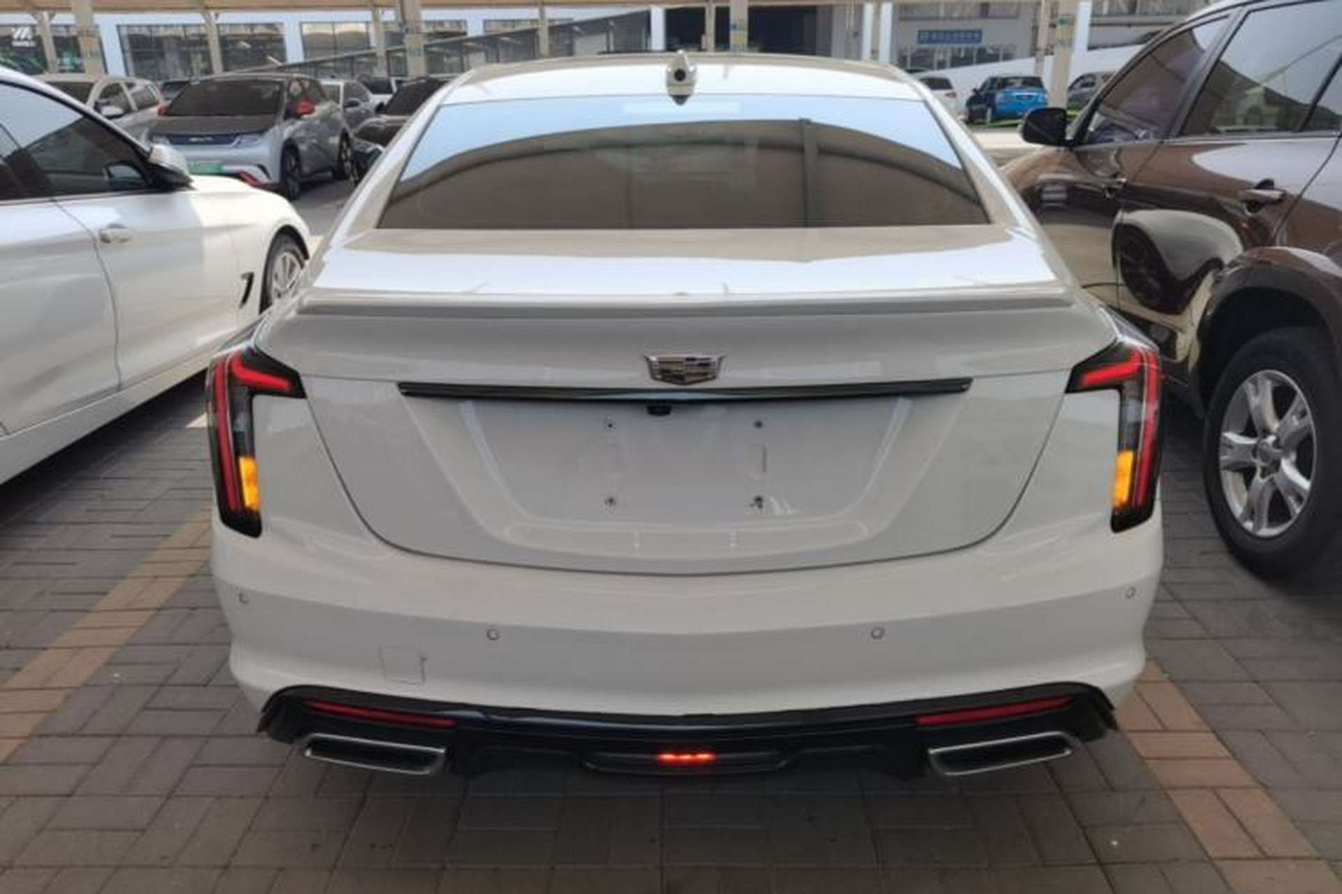 Used Cadillac CT5 2020 28T Platinum Sport Edition Rear