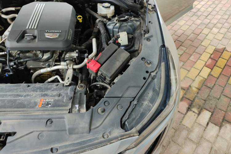 Used Cadillac CT5 2021 Revised 28T Luxury Version Engine Bay Left