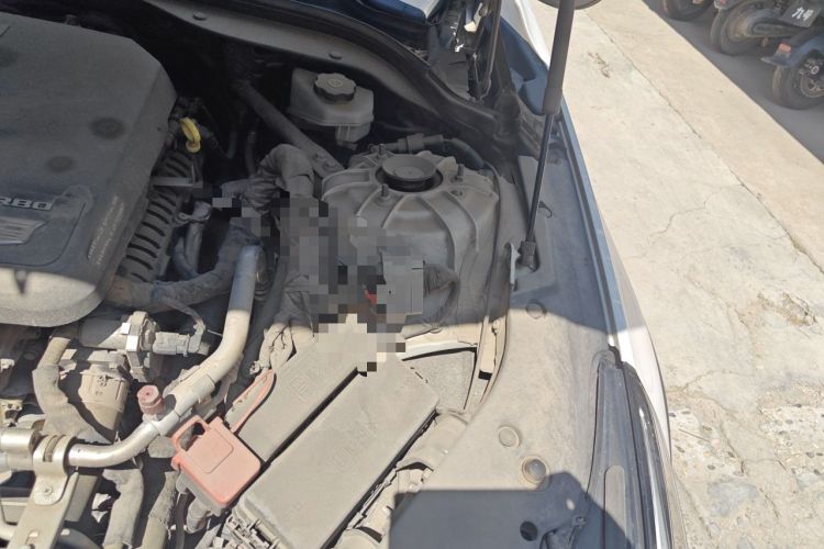 Used Cadillac CT5 2021 28T Platinum Edition Engine Bay Left