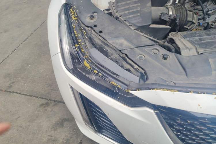 Used Cadillac CT5 2021 28T Luxury Model Right Front Headlight