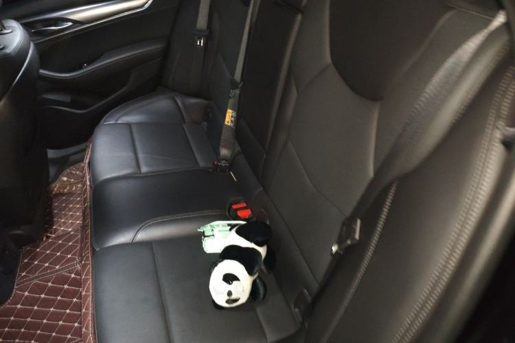 Used Cadillac CT5 2022 28T Luxury Version (Standard Edition) Left Rear Seat