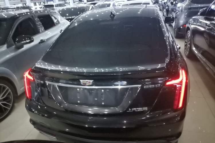 Used Cadillac CT5 2022 28T Luxury Version (Standard Edition) Rear