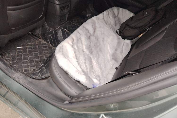 Used Cadillac CT5 2022 28T Fashion Edition Left Rear Seat