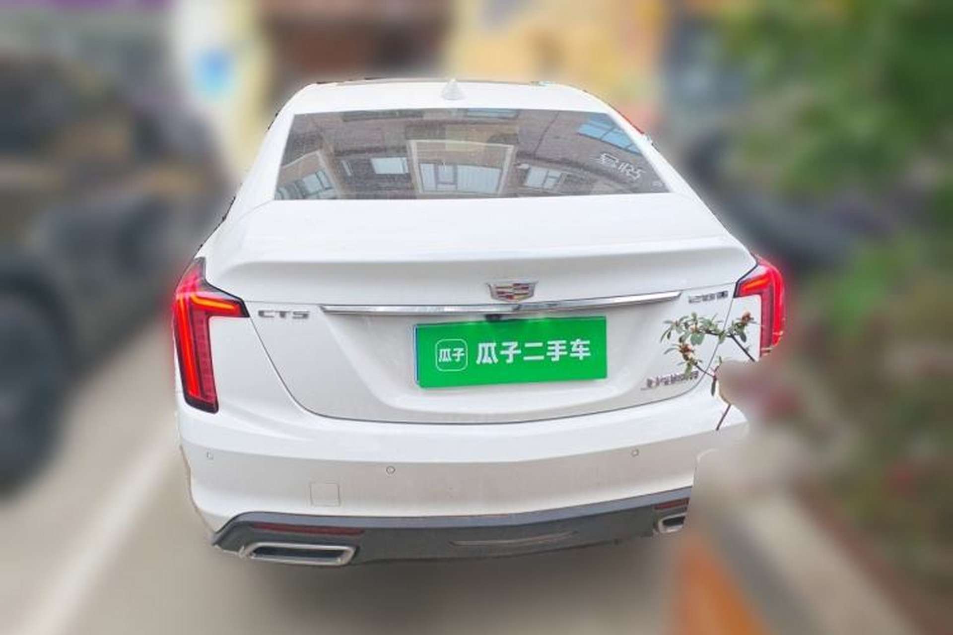 Used Cadillac CT5 2022 28T Luxury Version (Standard Edition) Rear