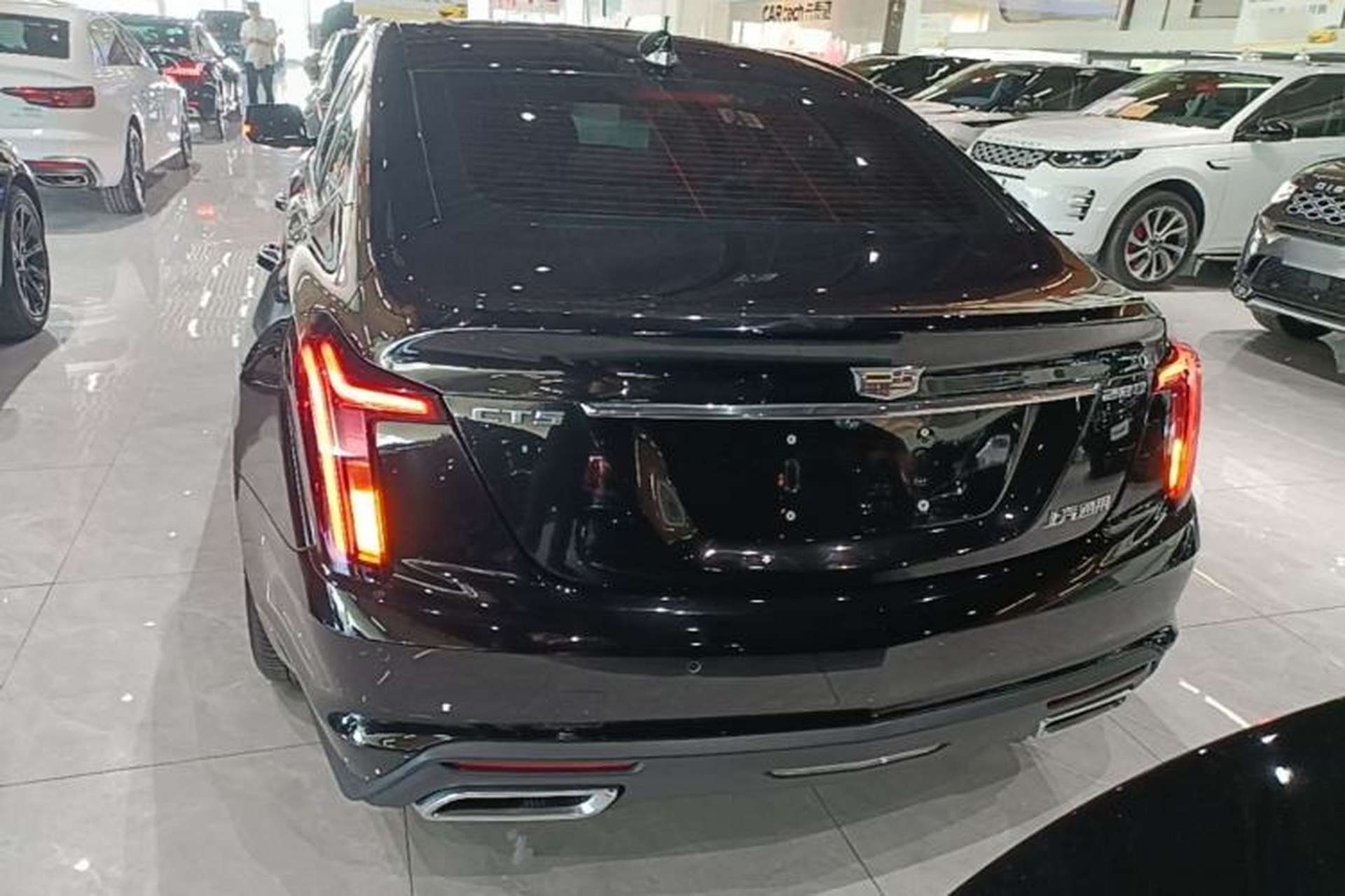 Used Cadillac CT5 2023 28T Luxury Edition (Standard Version) Rear