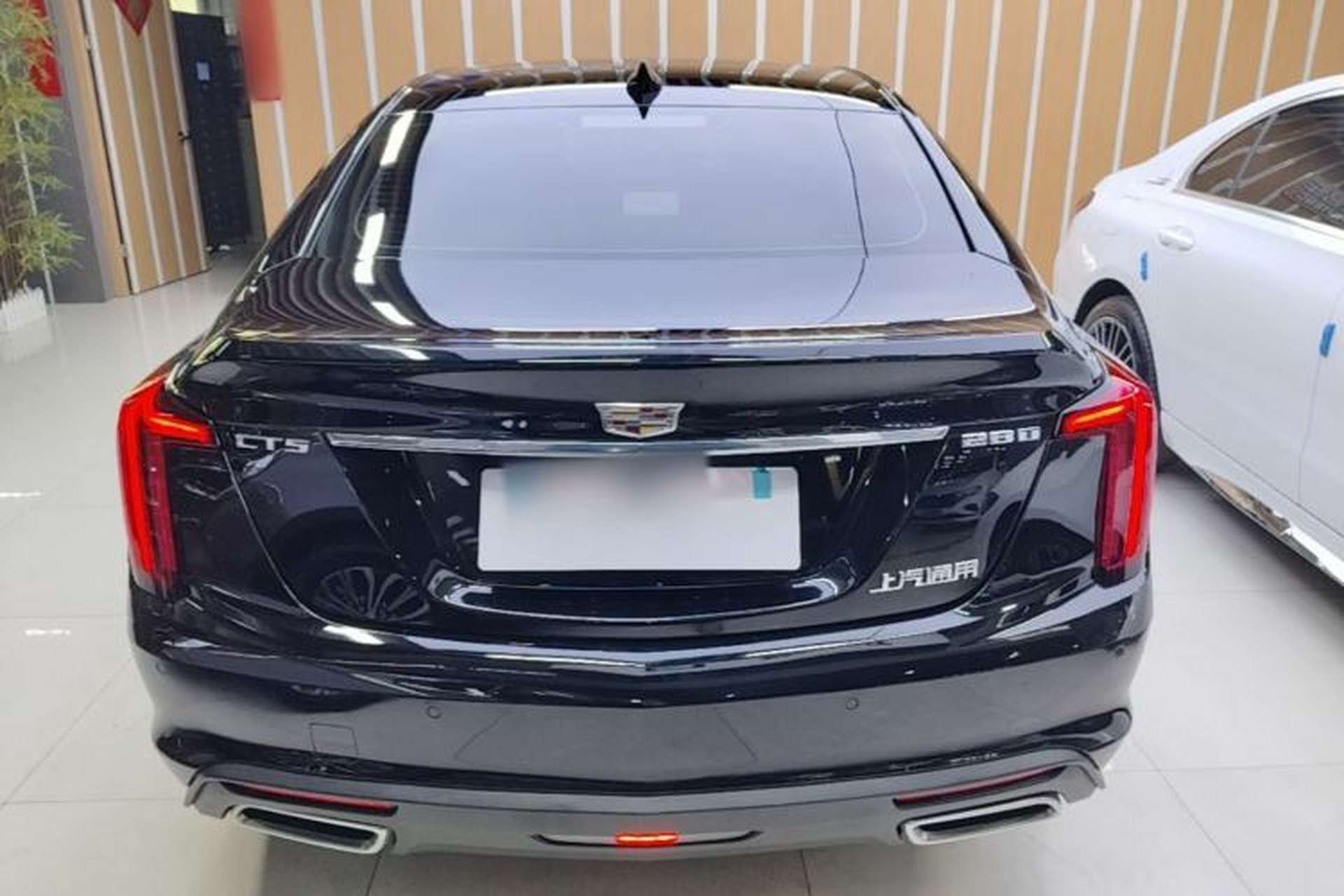 Used Cadillac CT5 2023 28T Luxury Edition (Standard Version) Rear