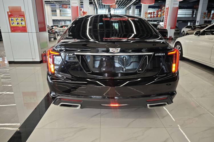 Used Cadillac CT5 2023 28T Prestige Model Rear