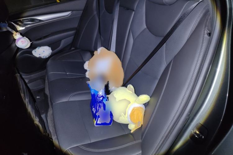 Used Cadillac CT5 2023 28T Luxury Edition (Standard Version) Left Rear Seat