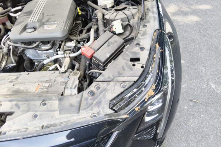 Used Cadillac CT5 2024 28T Prestige Edition Engine Bay Left