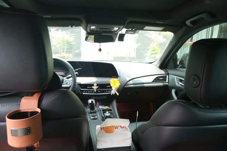 Used Cadillac CT5 2024 28T Luxury Pro Trim Headliner
