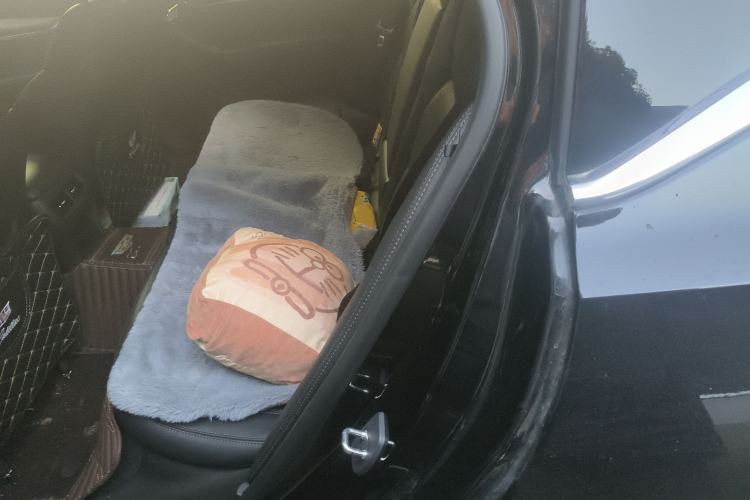 Used Cadillac CT5 2024 28T Luxury Pro Trim Left Rear Seat