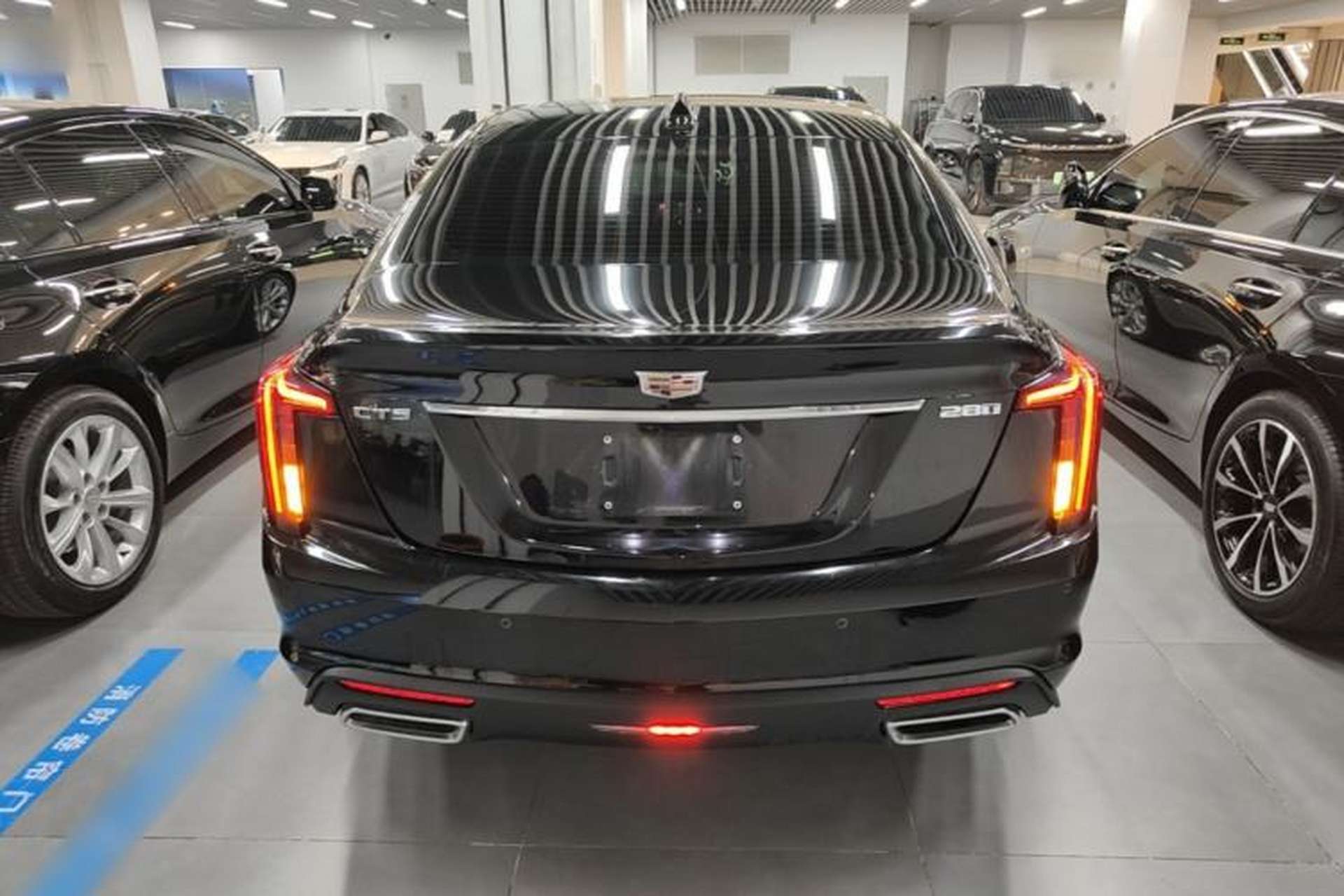Used Cadillac CT5 2024 28T Luxury Pro Trim Rear