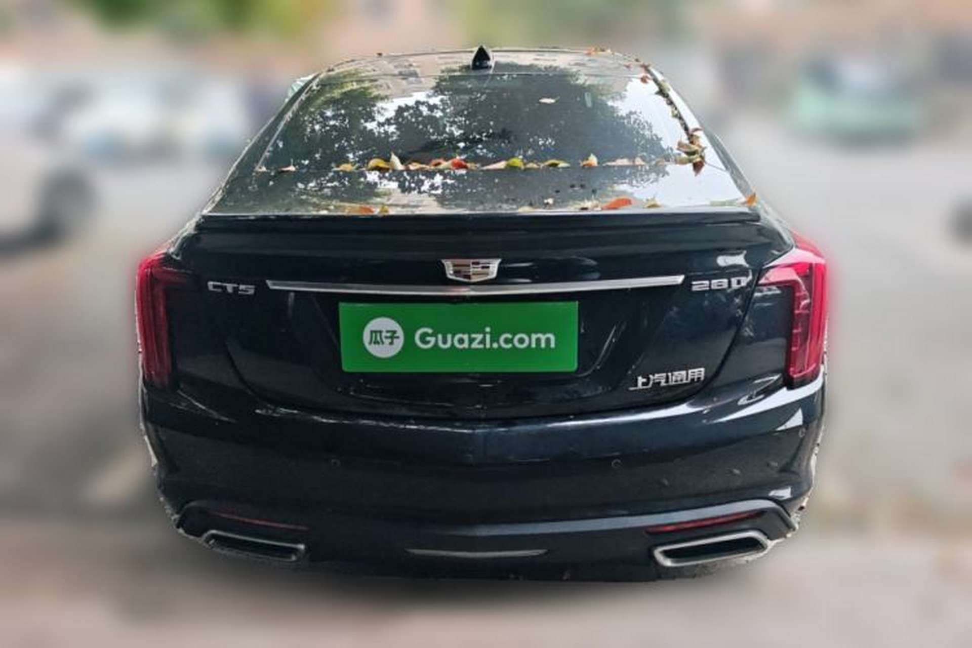 Used Cadillac CT5 2024 28T Luxury Pro Trim Rear