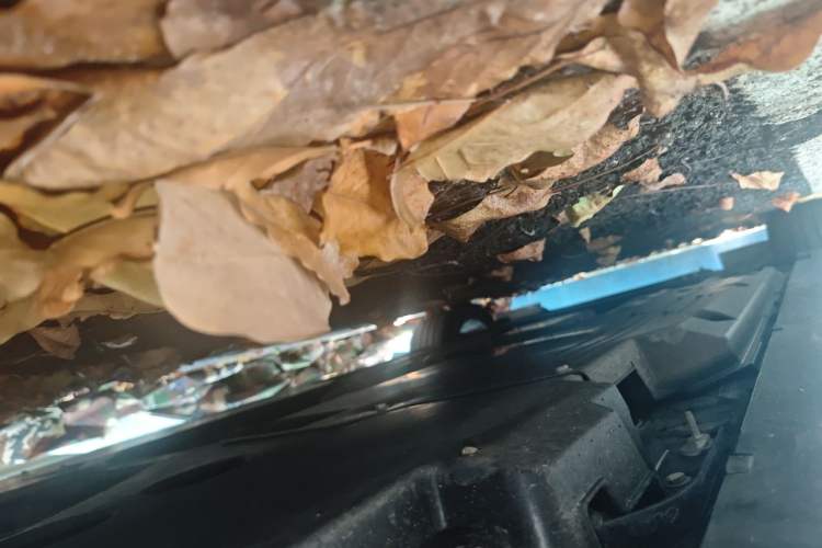 Used Cadillac CT5 2025 28T Urban Sport Edition Chassis Rear Left