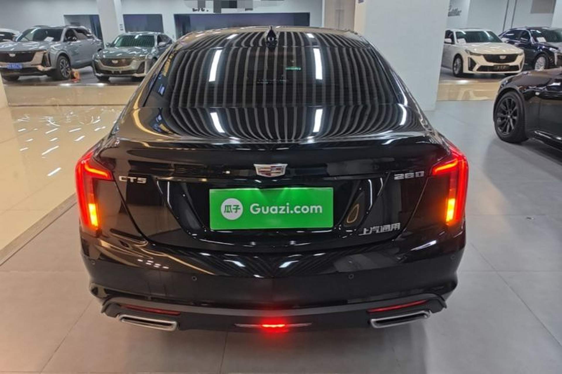 Used Cadillac CT5 2025 28T Urban Sport Edition Rear