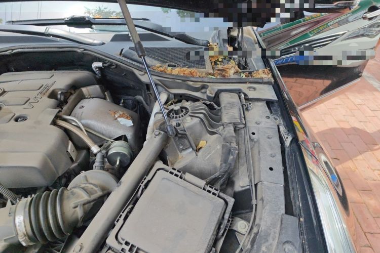 Used Cadillac CT6 2016 28T Luxury Model Engine Bay Left