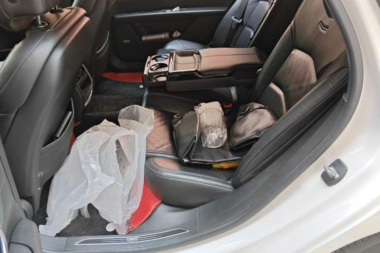 Used Cadillac CT6 2016 28T Luxury Model Left Rear Seat