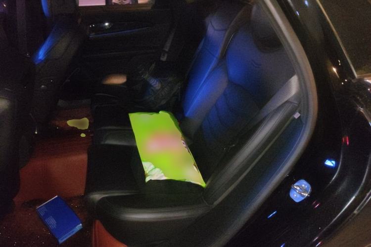 Used Cadillac CT6 2017 40T Platinum Edition Left Rear Seat