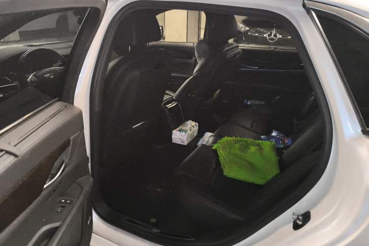 Used Cadillac CT6 2017 28T Platinum Edition Left Rear Seat
