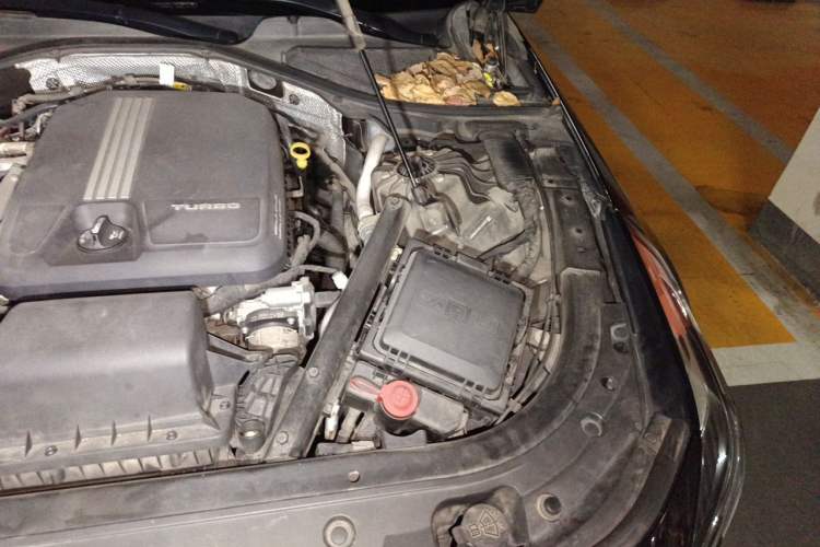 Used Cadillac CT6 2019 28T Fashion Edition Engine Bay Left