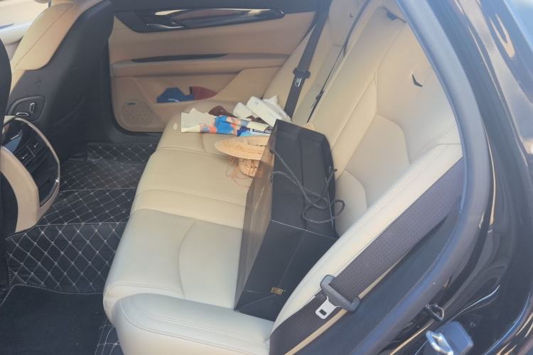 Used Cadillac CT6 2019 28T Fashion Edition Left Rear Seat