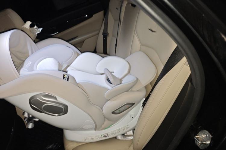 Used Cadillac CT6 2019 28T Fashion Edition Left Rear Seat