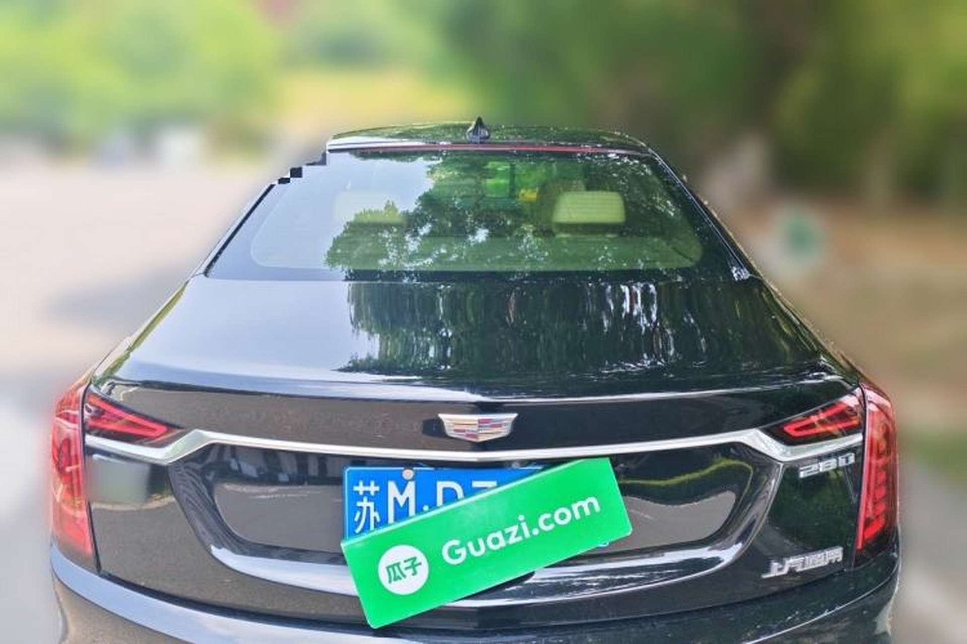 Used Cadillac CT6 2019 28T Fashion Edition Rear