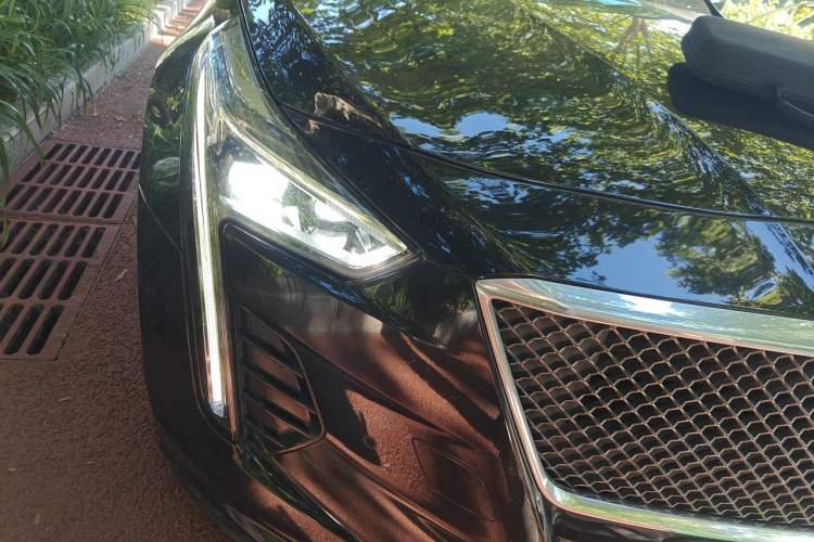 Used Cadillac CT6 2019 28T Leading Sport Model Right Front Headlight