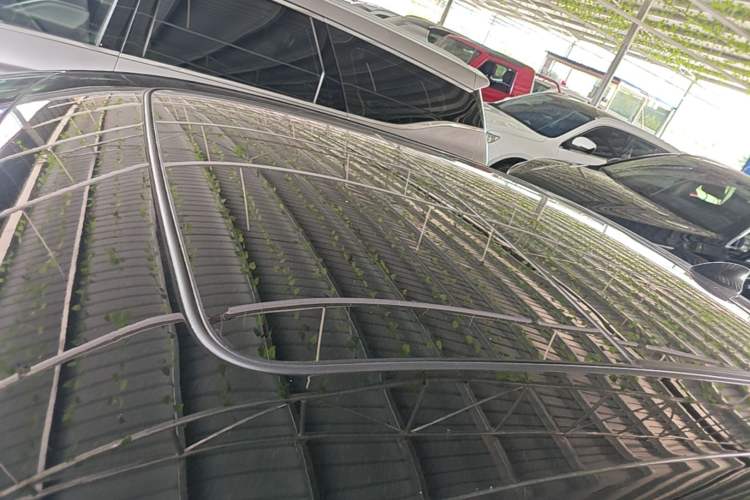 Used Cadillac CT6 2019 28T Elite Edition Roof