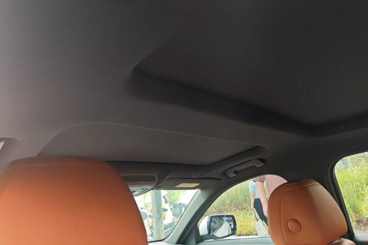 Used Cadillac CT6 2019 28T Luxury Model Headliner