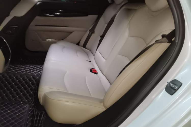 Used Cadillac CT6 2019 28T Fashion Edition Left Rear Seat